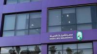 اختيار «إي إف جي هيرميس» مديرًا لطرح «مصر لتأمينات الحياة» في البورصة