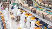 صادرات الصناعات الغذائية المصرية ترتفع إلى 2.4 مليار دولار خلال أول 4 أشهر من 2026
