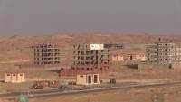 جهاز القاهرة الجديدة ينفذ المرحلة التاسعة لتوصيل الكهرباء الدائمة بأراضي «بيت الوطن» بامتداد النرجس