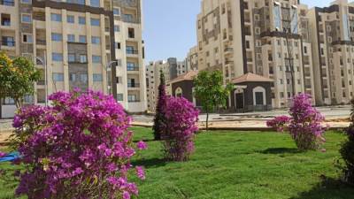 بالصور.. المسطحات الخضراء تغير وجه الحي السكني بالعاصمة الإدارية